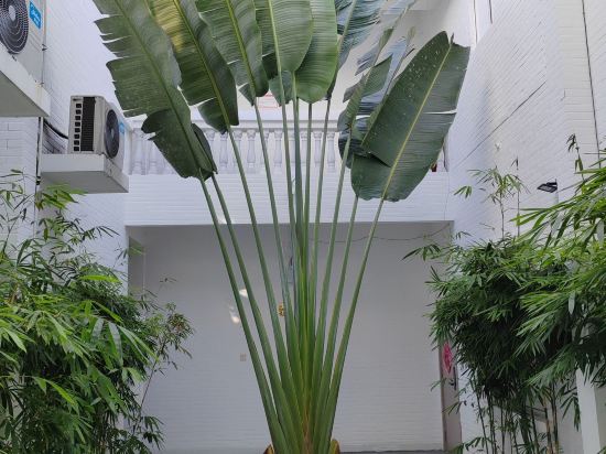 蕉葉民宿（三亞免税城店）優惠