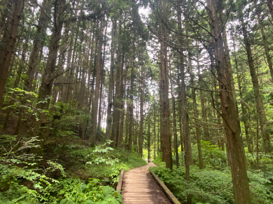 ねざめホテル クーポン