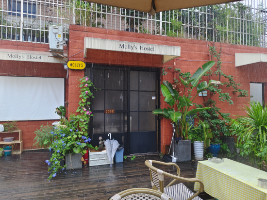 成都茉莉國際青年旅舍（春熙路太古裡店）優惠