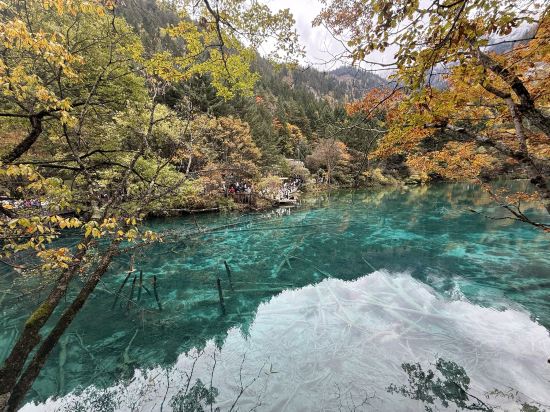 麗楓飯店（九寨溝風景區店）優惠