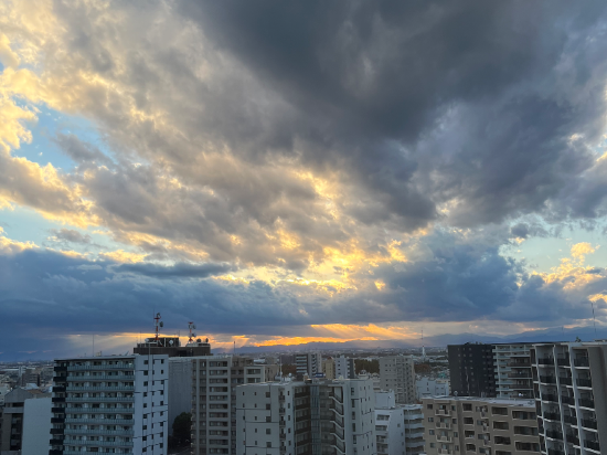 ロイヤルパインズホテル浦和 クーポン