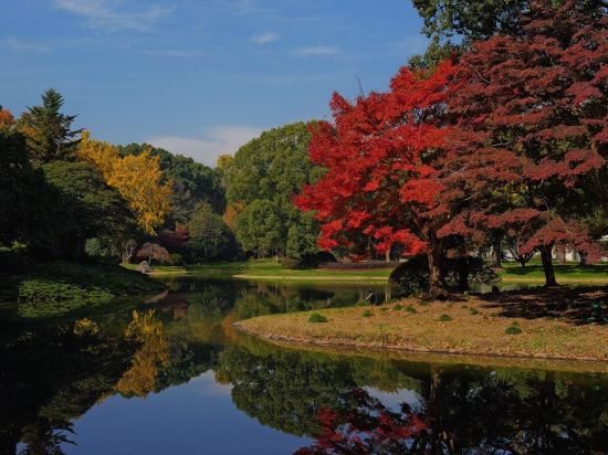 上海東郊賓館優惠