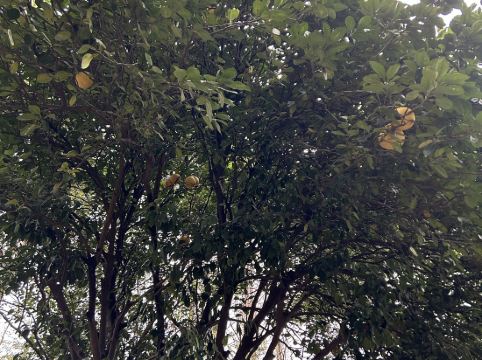 全季酒店（杭州西湖延安路店）優惠