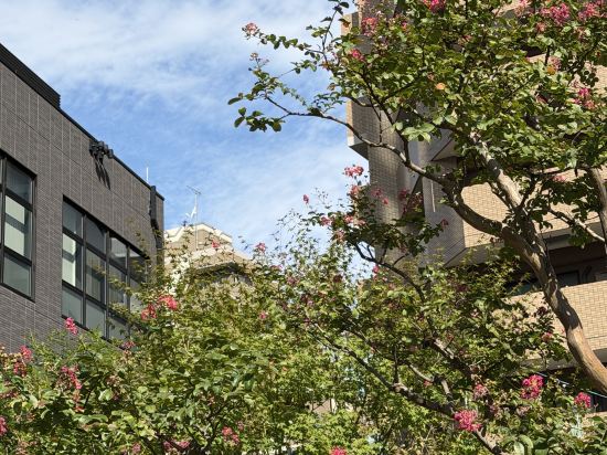 福岡博多特拉德酒店優惠