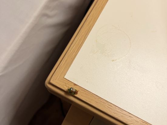 北海道洞爺湖溫莎度假飯店優惠