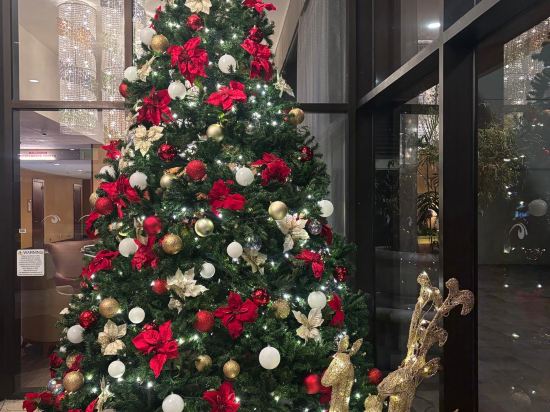 舊金山機場海灣希爾頓酒店優惠