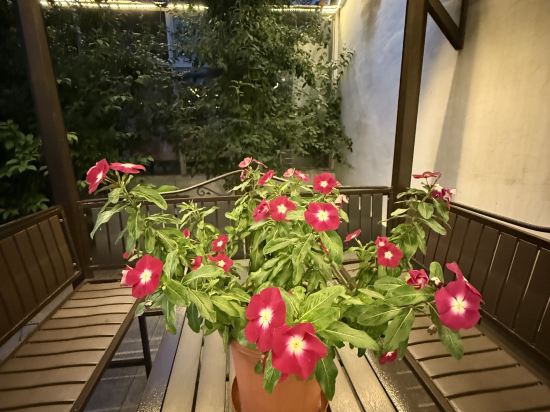 多倫吉嘉賓館優惠