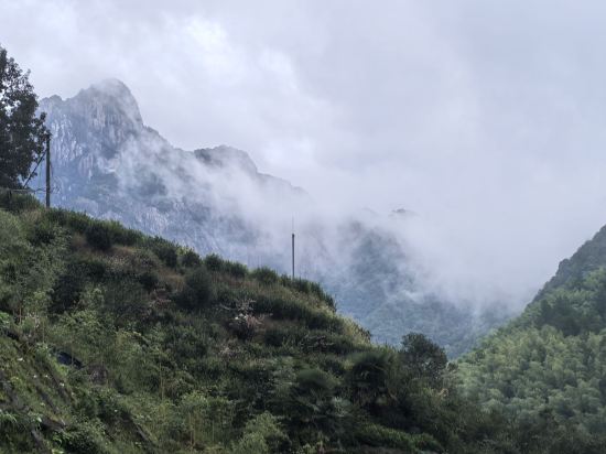 黃山蓮花山莊溫泉度假飯店優惠
