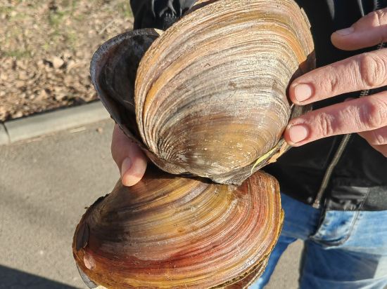 蒙特卡羅宮殿青年旅舍優惠