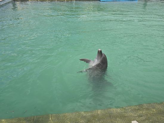 マリンピアザオキナワ クーポン