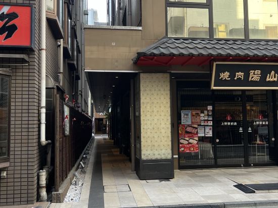 上野車站世紀溫泉飯店-人工鐳溫泉優惠