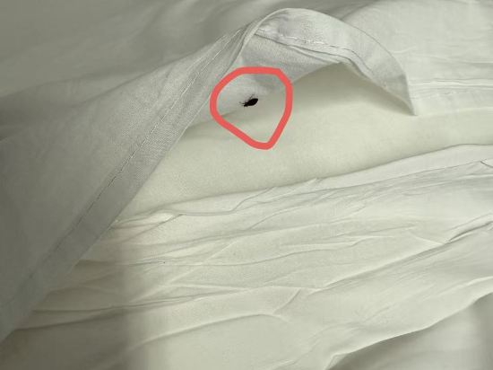 杜拜德伊勒温德姆戴斯酒店優惠