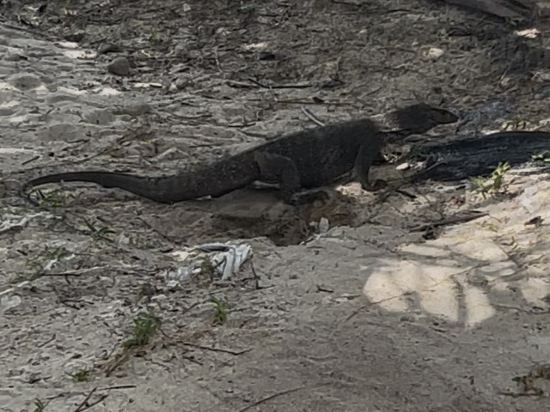 停泊島度假村優惠