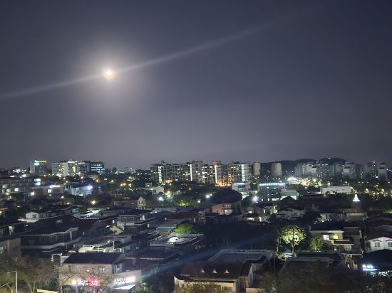 타마라 제주 쿠폰