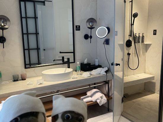 肇慶喜來登酒店優惠