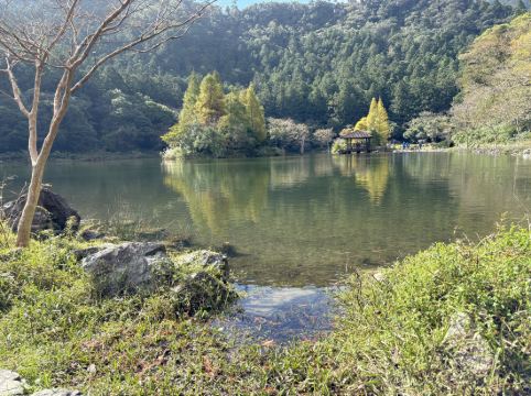 宜蘭大同明池山莊（明池森林遊樂區）優惠