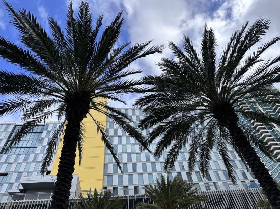 聖迭戈洲際酒店 - IHG 旗下飯店優惠