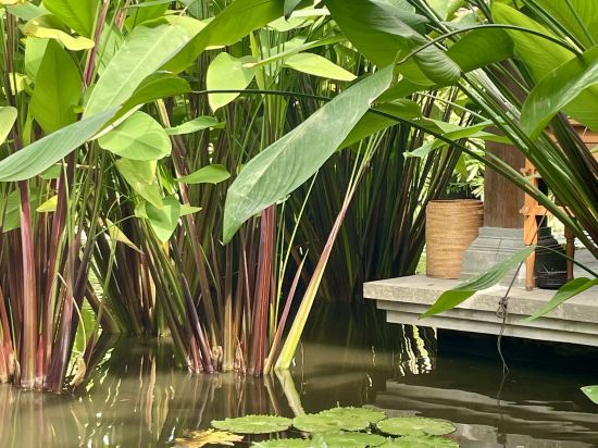 巴釐凱悦酒店優惠