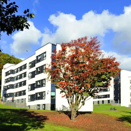 Juniper Court