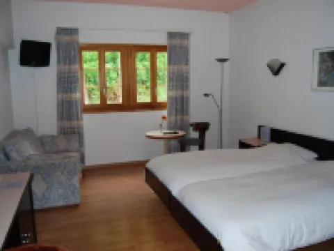 Hotel du Pigne Hotels in Evolene