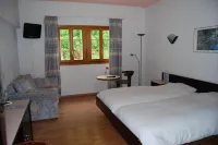 Hotel du Pigne Отели в г. Эволен