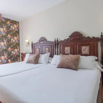 Hotel Rosaleda Don Pedro