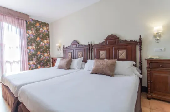 Hotel Rosaleda Don Pedro