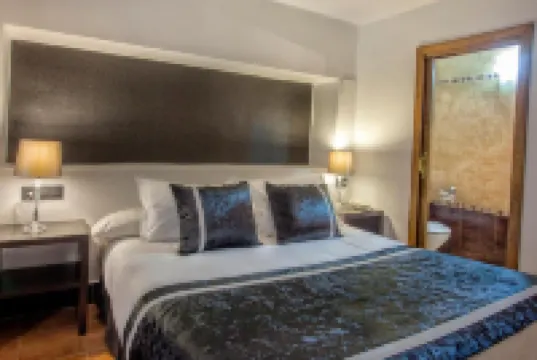 Hotel Rosaleda Don Pedro