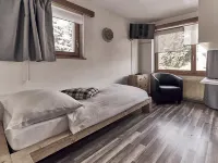 Hotel Marmotte Hotels in Saas Fee