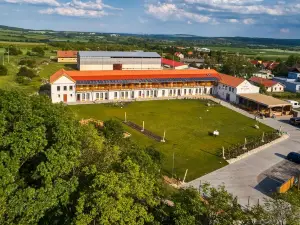 Hotel Ryzlink