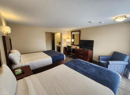 하이애니스 트래블 인