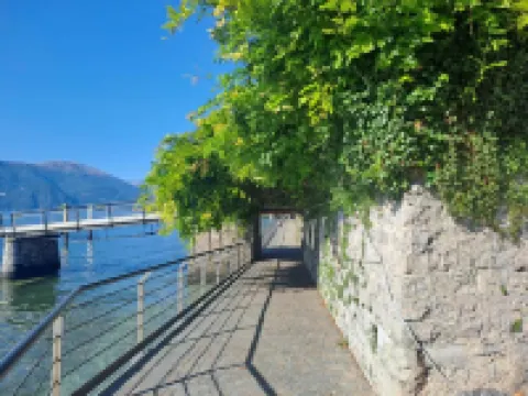 Il Gatto e la Volpe Foresteria Lombarda