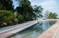 Amaya Kasauli