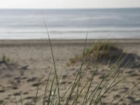 ハンプトン ホーム B&B スイーツ デ・コーフのホテル