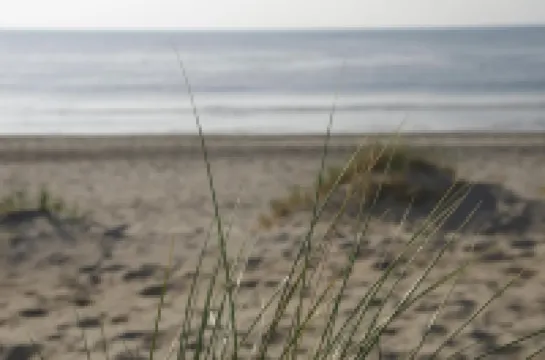 Hampton Home B&B Suites