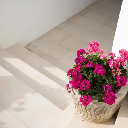 Apartamentos Gama