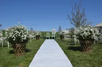 Hotel Petrarca Hotels in Este
