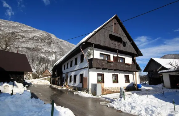 佩科維博西尼客房民宿