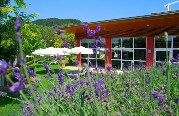 斯特恩特茲爾酒店