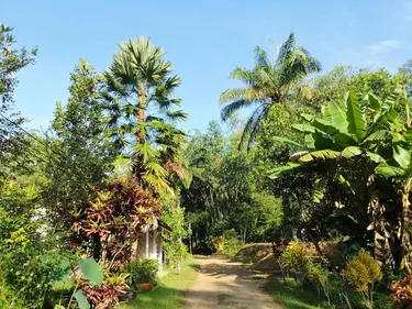 รูปภาพของสวนบางบอน