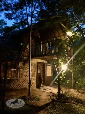 Baker Safari Company Hotels in 