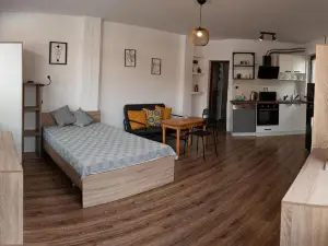 Studio Panagyurishte