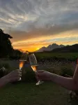 Lynx Wine Estate - Mountain view