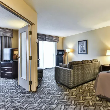 Comfort Inn & Suites Ambassador Bridge