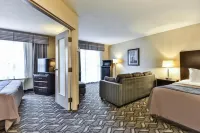 Comfort Inn & Suites Ambassador Bridge