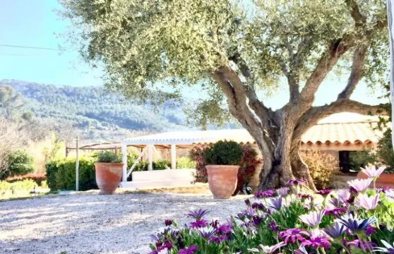 百思迪德方威爾 - 查布斯帝豪酒店