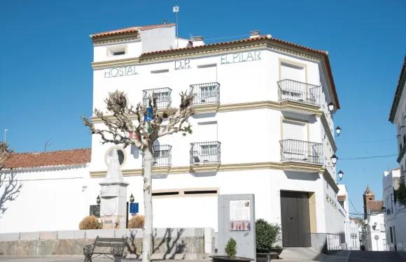 DP埃爾皮拉爾酒店