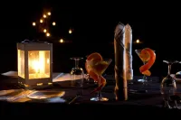 Big Game - Udawalawe by Eco Team Hotels in Moneragala