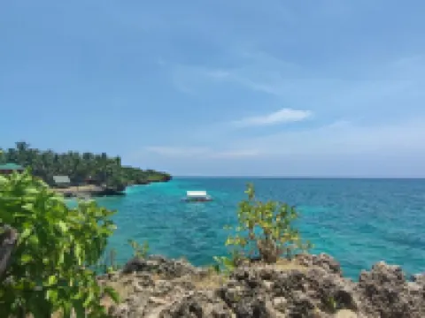 Rose Apartments Hotels in Anda