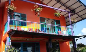 Finca San Miguel Filandia